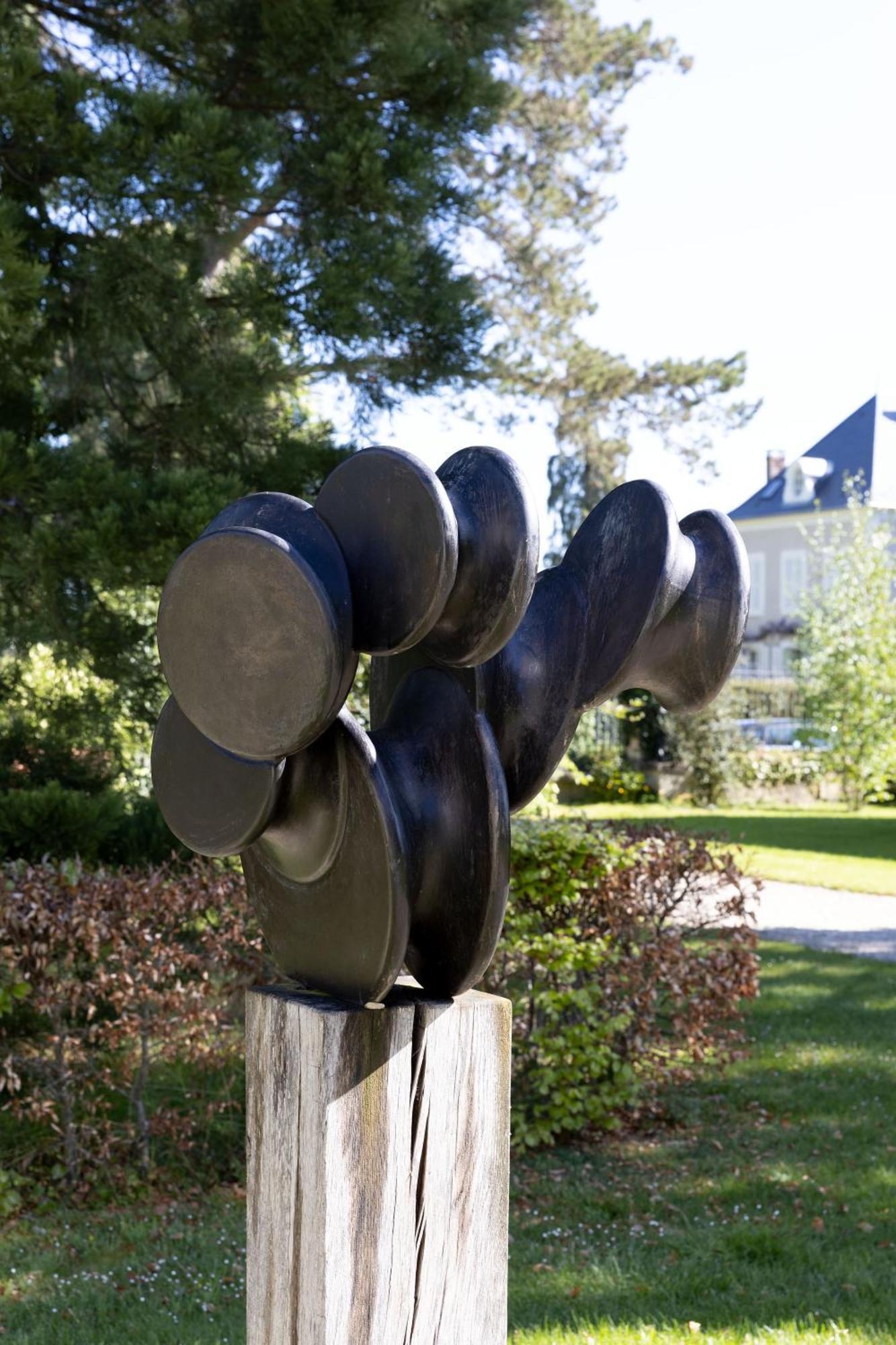 Chateau De La Resle - Design Hotels Montigny-la-Resle Exterior foto